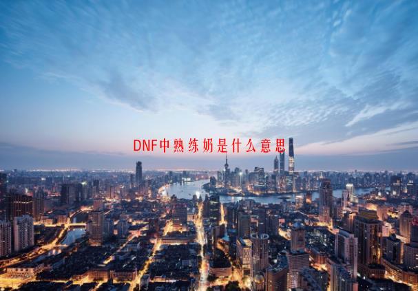 问题：DNF中熟练奶是什么意思？