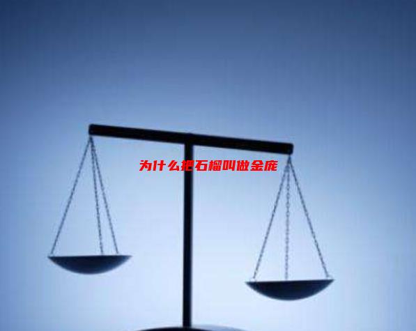 为什么把石榴叫做金庞