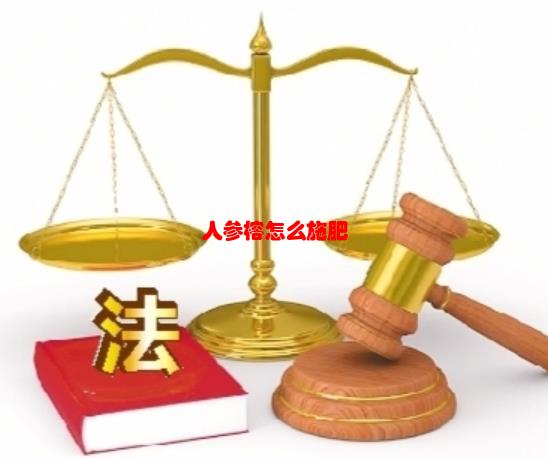 人参榕怎么施肥