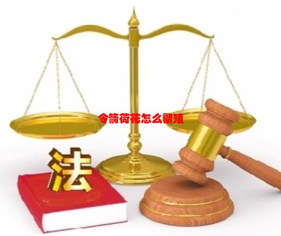 【已解决】令箭荷花怎么繁殖？