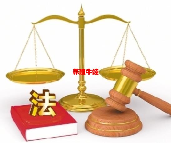 牛蛙养殖户发言