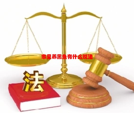 “养黑鱼象征什么”，家里养黑鱼有什么说法