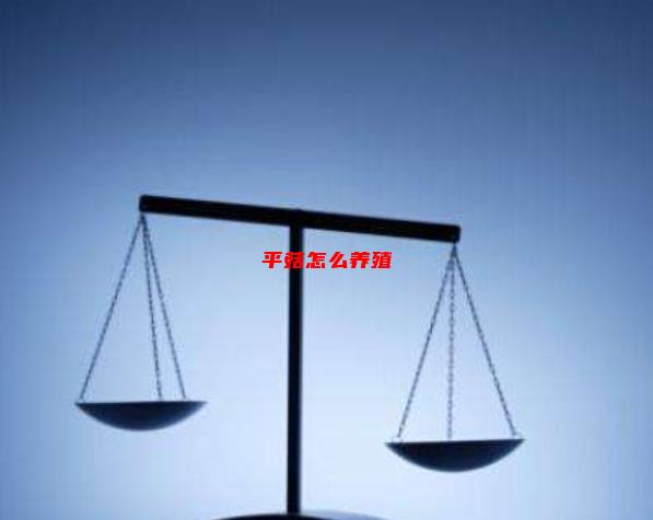 平菇养殖与销售，平菇，怎么养殖？