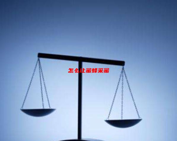 怎么让蜜蜂采蜜