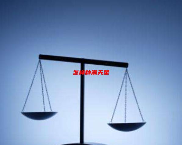 怎么种满天星吊兰