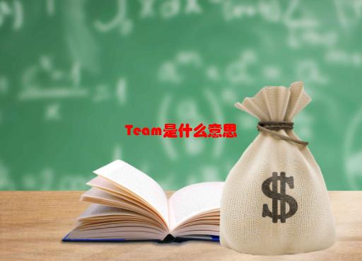 team，是什么意思，Team是什么意思？