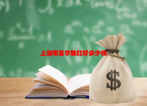 上海哪里学散打好多少钱