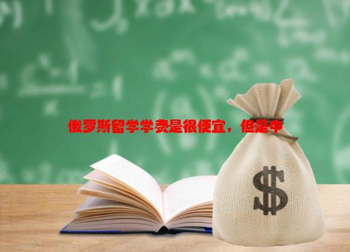 俄罗斯留学中介费多少