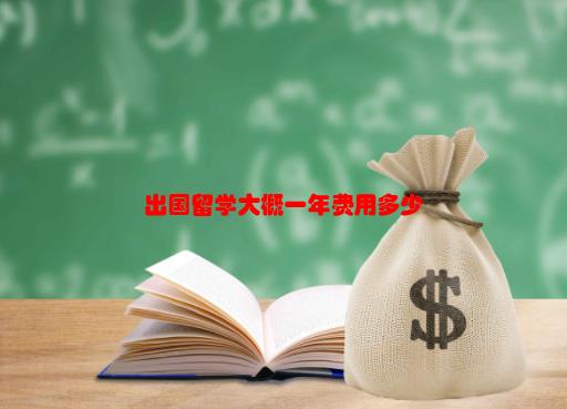 【去留学一年费用】出国留学大概一年费用多少