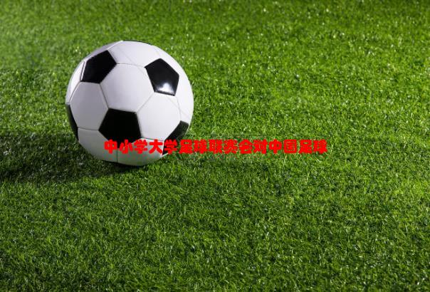 【已解决】中小学大学足球联赛会对中国足球产生什么影响？