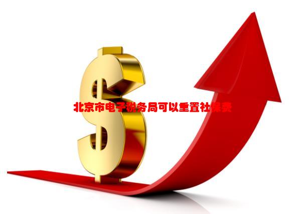 北京市电子税务局可以重置社保费管理客户端的密码！