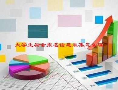 会计信息采集专业技术资格怎么填写