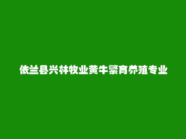 依兰县兴林牧业黄牛繁育养殖专业合作社简介，地址，联系方式