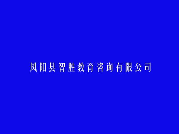 凤阳县智胜教育咨询有限公司