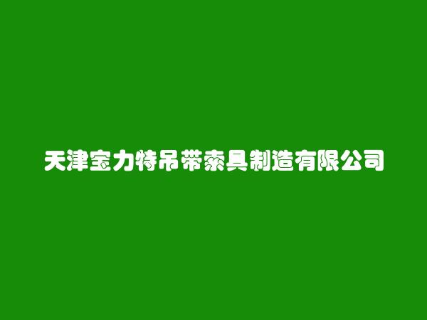 天津宝力特吊带索具制造有限公司简介，地址，联系方式