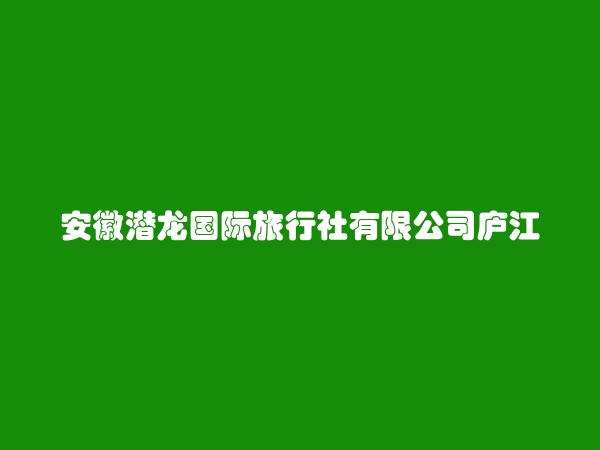 安徽潜龙国际旅行社有限公司庐江白湖营业部简介，地址，联系方式