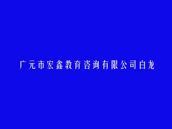 广元市宏鑫教育咨询有限公司白龙分公司