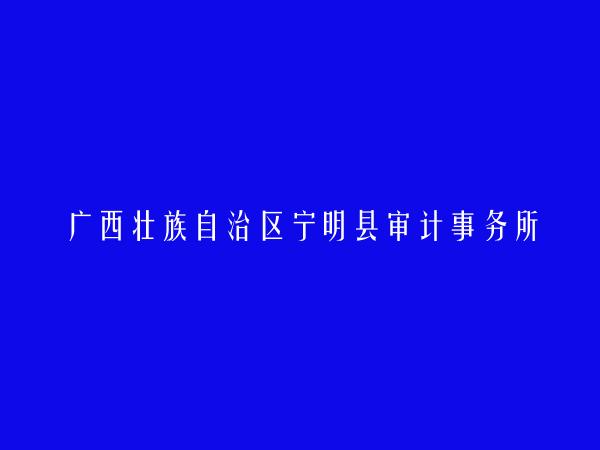 广西壮族自治区宁明县审计事务所简介，地址，联系方式