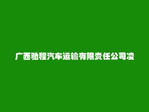 广西驰程汽车运输有限责任公司凌云汽车总站简介，地址，联系方式