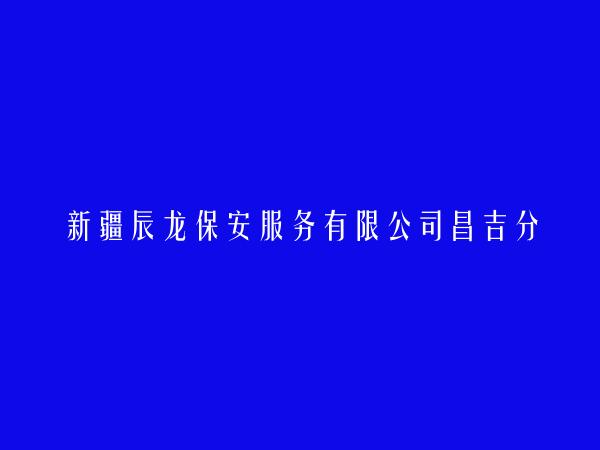 新疆辰龙保安服务有限公司昌吉分公司