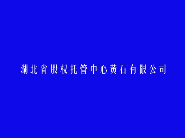 湖北省股权托管中心黄石有限公司