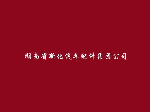 湖南省新化汽车配件集团公司简介，地址，联系方式