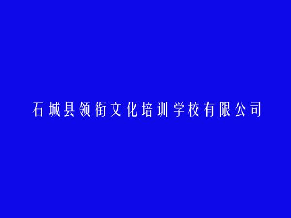 石城县领衔文化培训学校有限公司