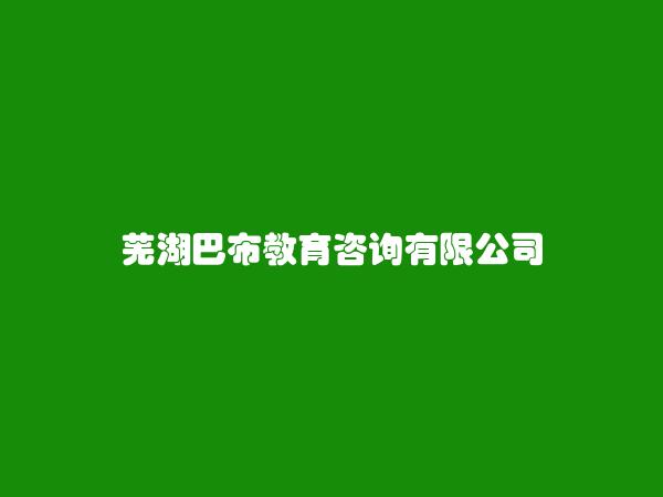 芜湖巴布教育咨询有限公司