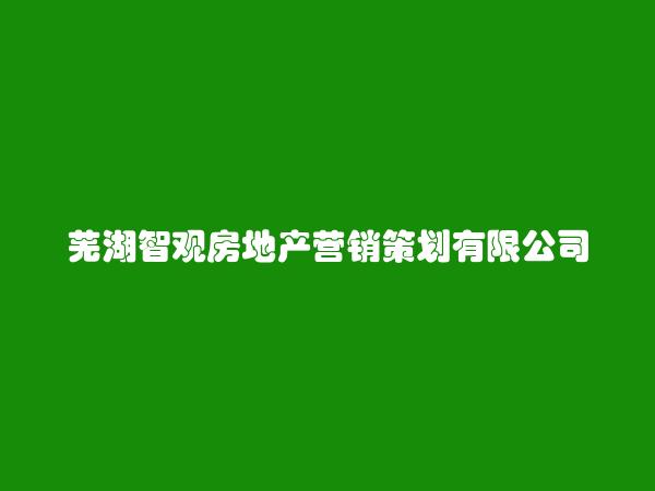 芜湖智观房地产营销策划有限公司