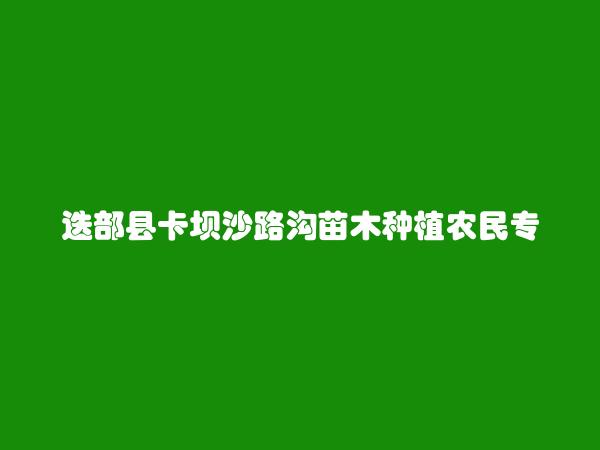 迭部县卡坝沙路沟苗木种植农民专业合作社简介，地址，联系方式