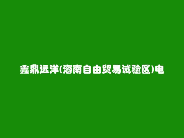 鑫鼎远洋(海南自由贸易试验区)电子商务服务有限公司