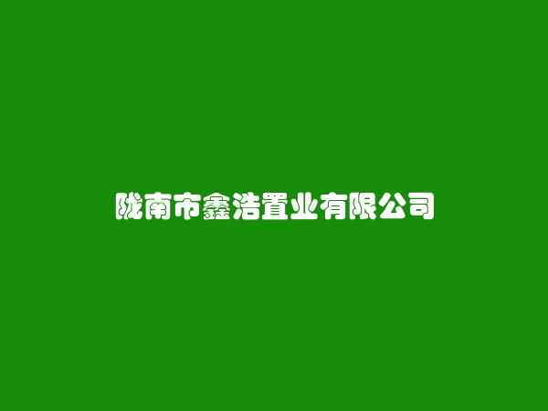 陇南市鑫浩置业有限公司