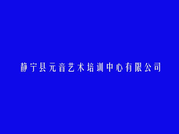 静宁县元音艺术培训中心有限公司