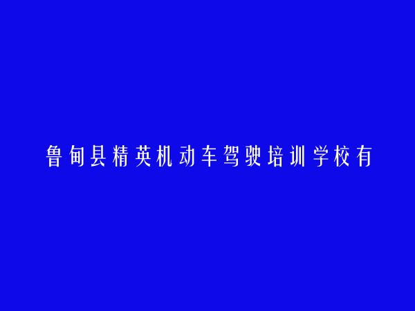 鲁甸县精英机动车驾驶培训学校有限公司