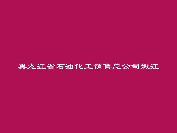 黑龙江省石油化工销售总公司嫩江支公司汽车队简介，地址，联系方式